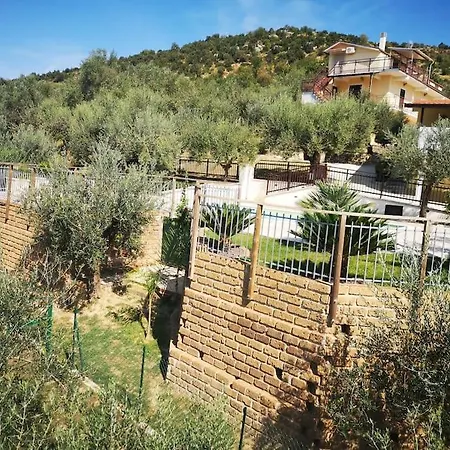 The House Of Olives