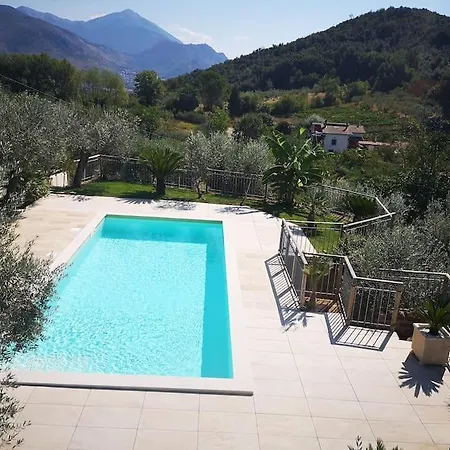 The House Of Olives Le Cese