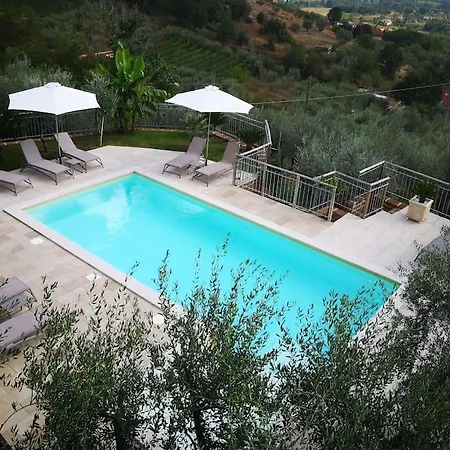 The House Of Olives * Le Cese